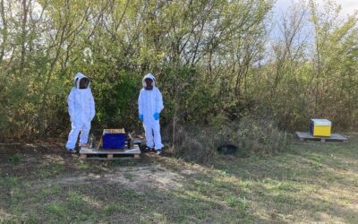 Club apiculture!