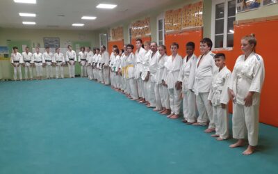 Section Judo