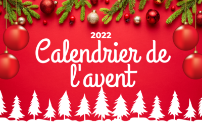 Calendrier de l&rsquo;Avent Case 14