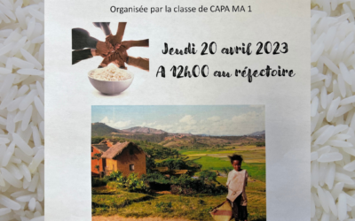 Bol de riz, c&rsquo;est aujourd&rsquo;hui!