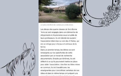 Les collégiens et le projet « le coin des 4 pattes »