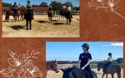 Section équitation du jeudi