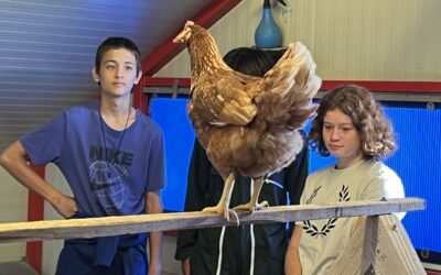 Des nouvelles de la ferme!